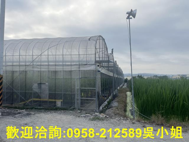 南投埔里農地-8