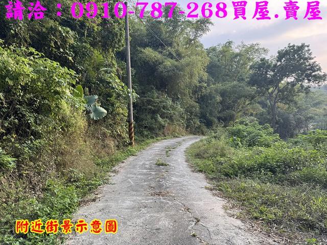 玉井區玉南段都內農地七十一