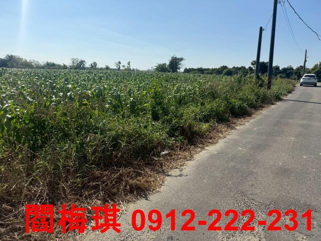 善化農地-1