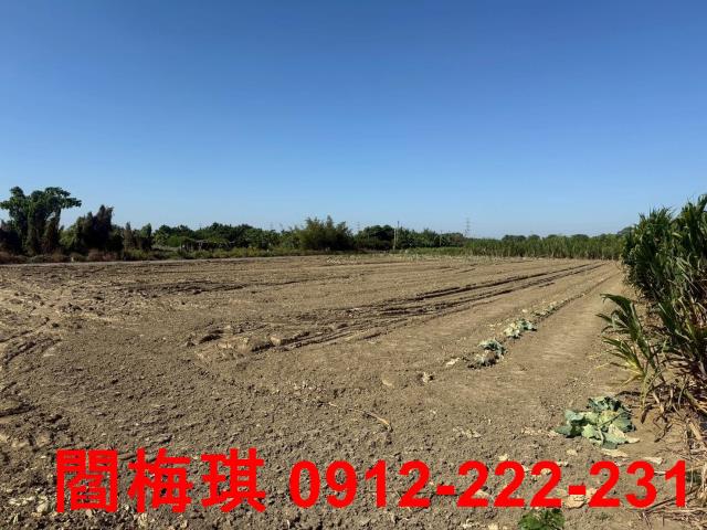 七股必買雙面臨路美農地