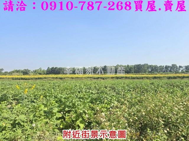台南農地-6