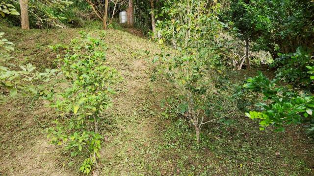 新竹北埔農地-10