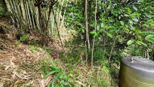 新竹北埔農地-13