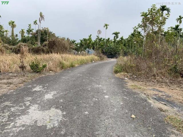 屏東高樹農地-6