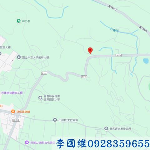 嘉義民雄法拍農地-3