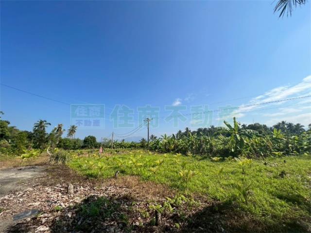 高雄旗山農地-3