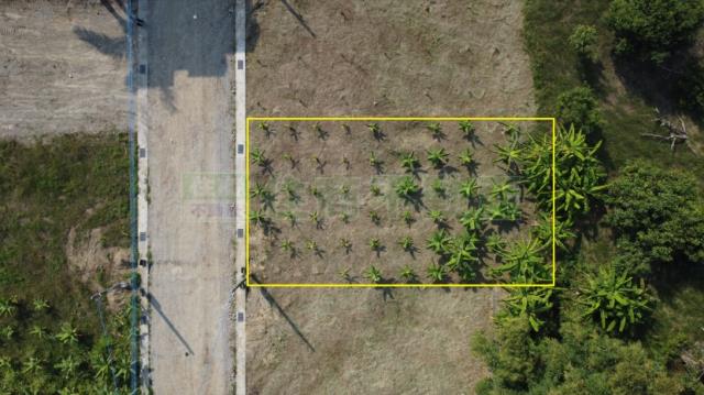 高雄大社農地-6