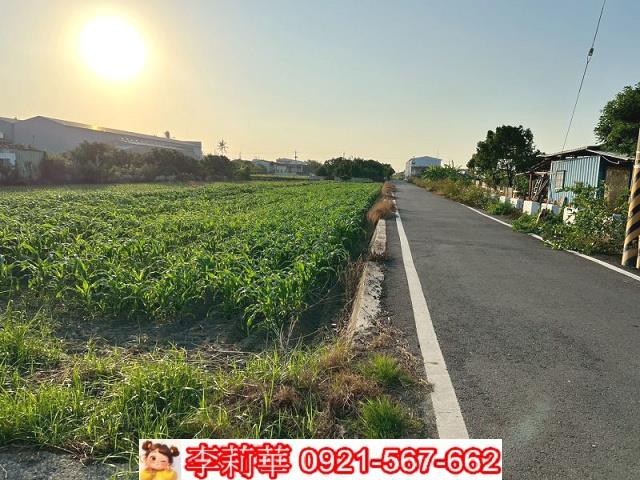 台南安定農地-5