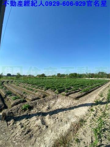 嘉義農地-3
