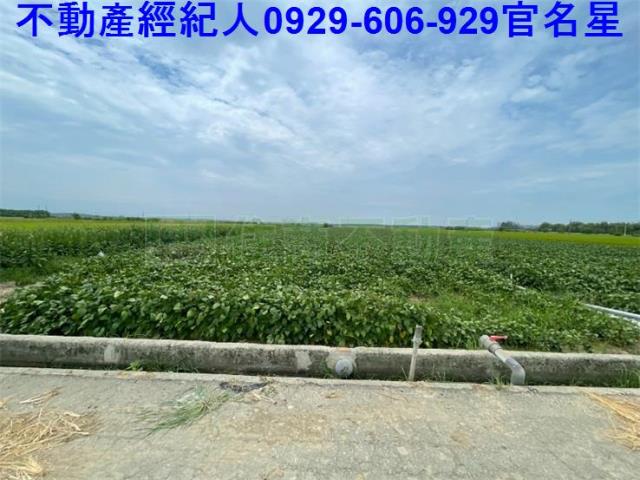 嘉義農地-1