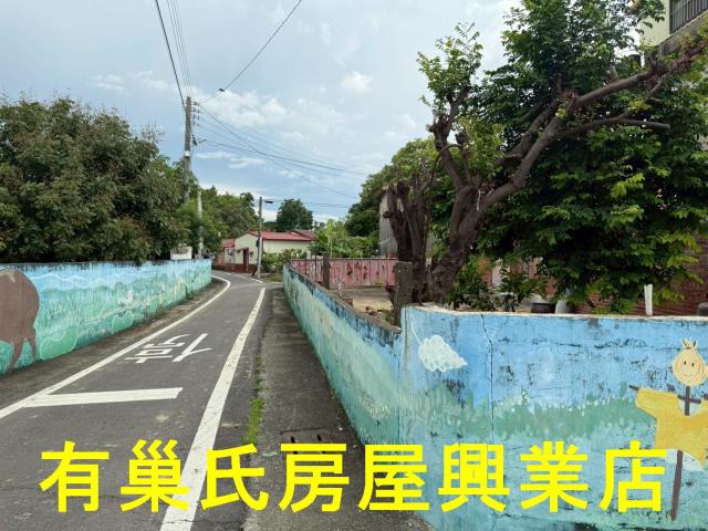 嘉義朴子農地-8