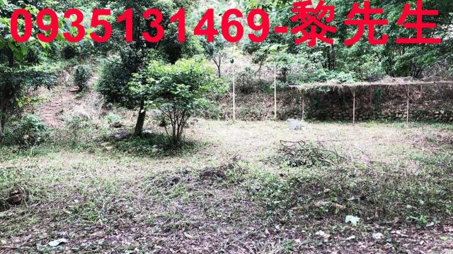 新竹關西農地-10