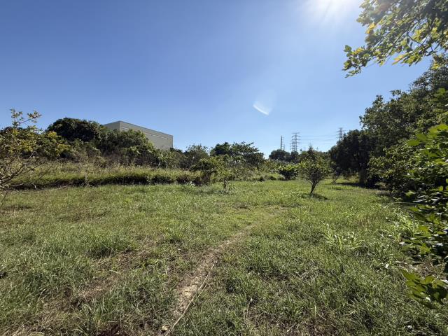高雄岡山農地-0