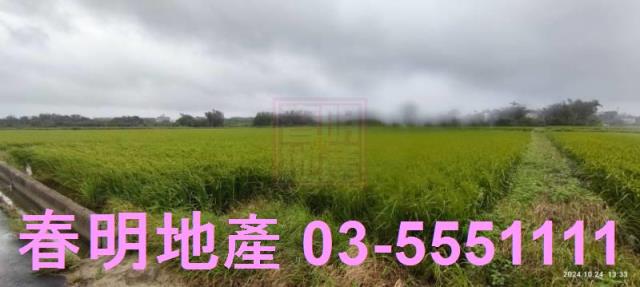 新竹新豐農地-3