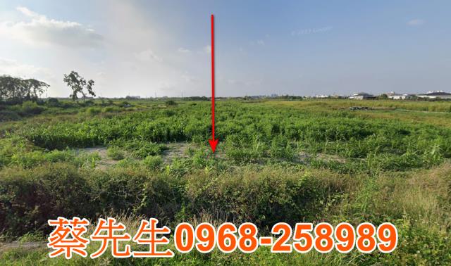 玉井2712坪一般農地