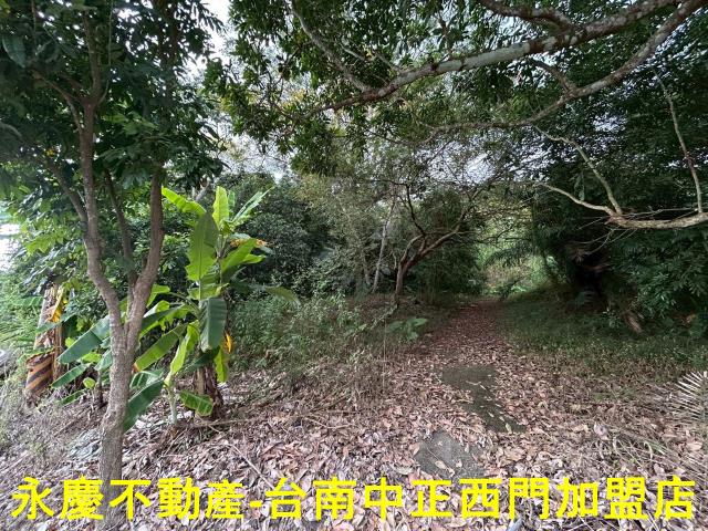 介紹您一快左鎮化石館農地左鎮老街有自來水台電可農作