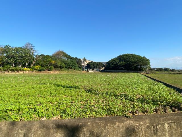 新屋農地-4
