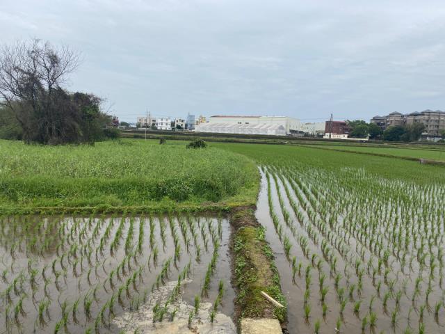 桃園農地-1