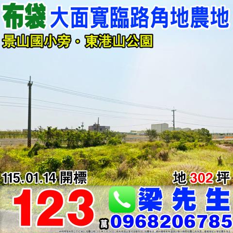 法拍布袋鎮景山國小農地30250坪