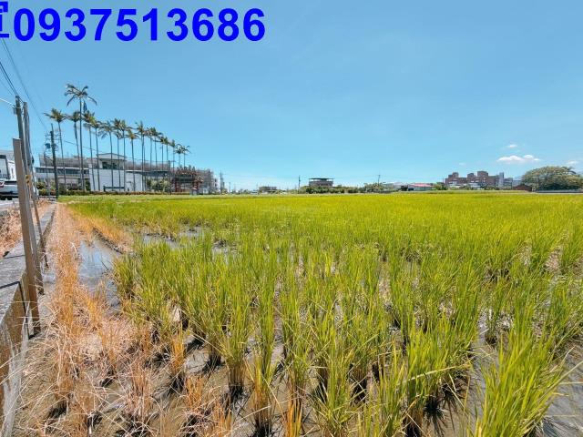 宜蘭五結農地-1