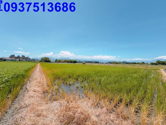 宜蘭五結農地-4