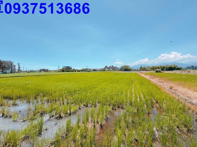 宜蘭五結農地-8