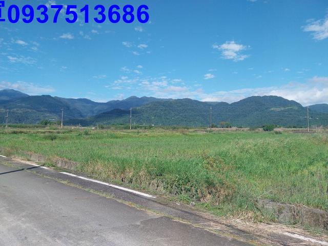 宜蘭三星農地-11