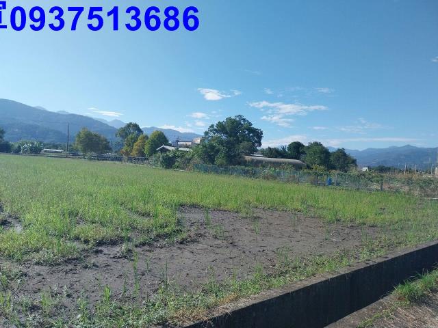 宜蘭三星農地-13