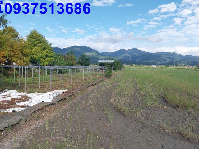 宜蘭三星農地-0