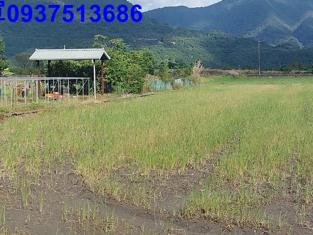 宜蘭三星農地-3