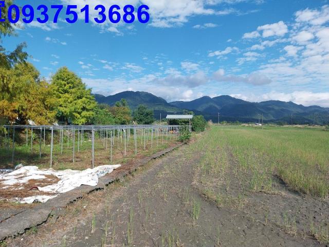 宜蘭三星農地-4