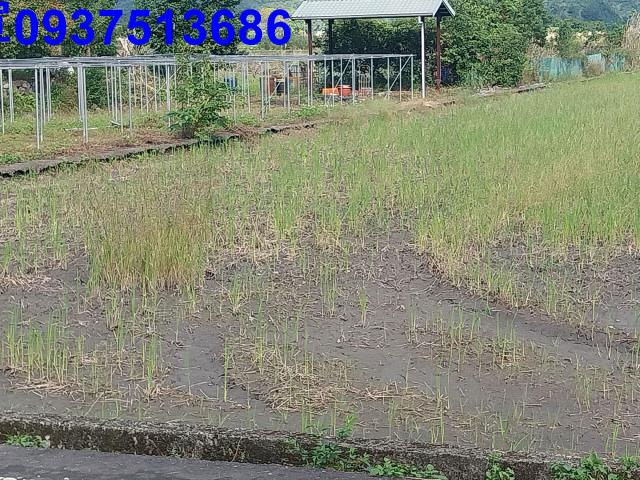 宜蘭三星農地-6