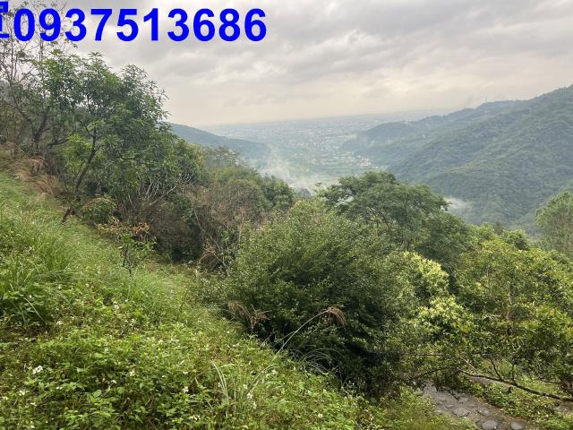 宜蘭礁溪農地-11