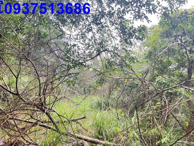 宜蘭縣宜蘭市泰山段農地出售