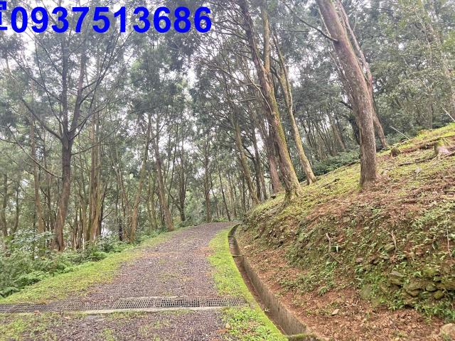 宜蘭礁溪農地-4