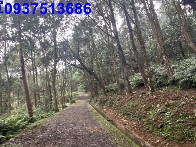 宜蘭礁溪農地-7