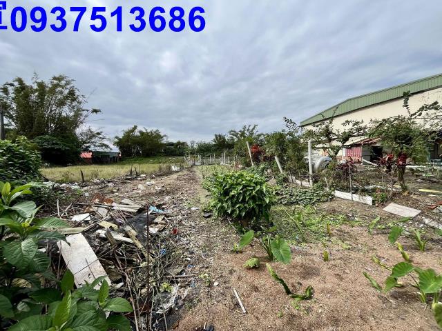 宜蘭壯圍農地-9