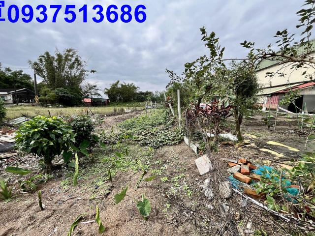 宜蘭壯圍農地-10