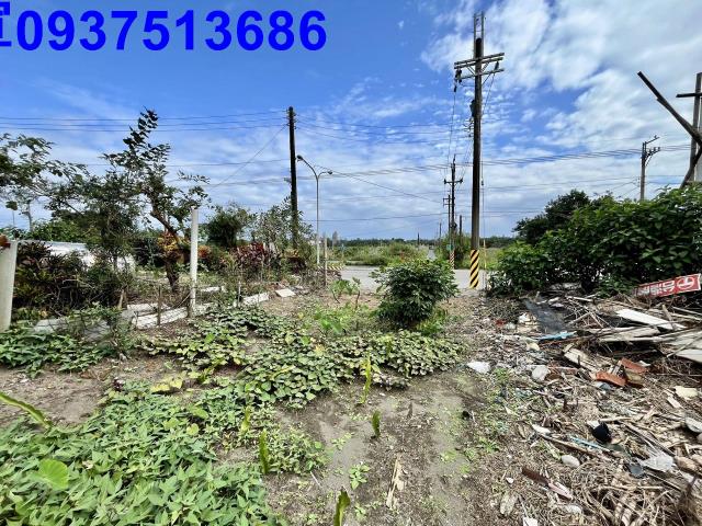 宜蘭壯圍農地-2