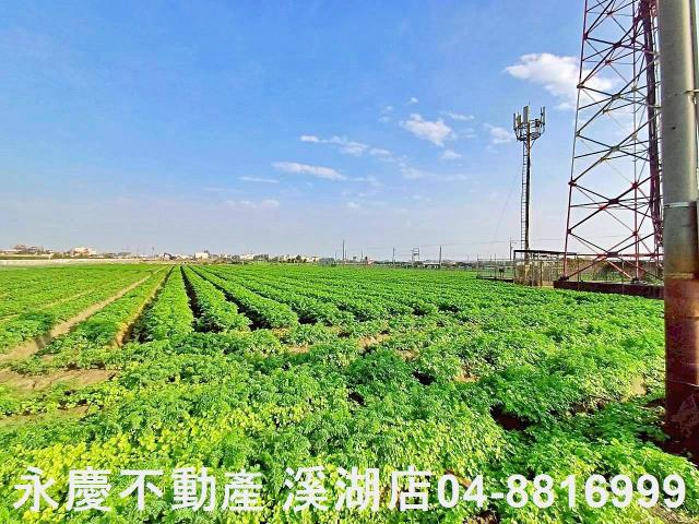 芳苑農地-14