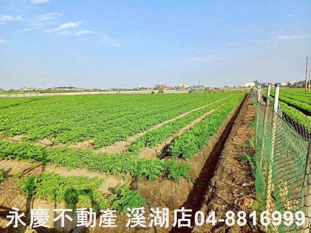 芳苑農地-4