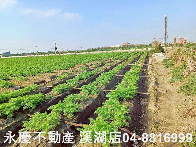 芳苑農地-7