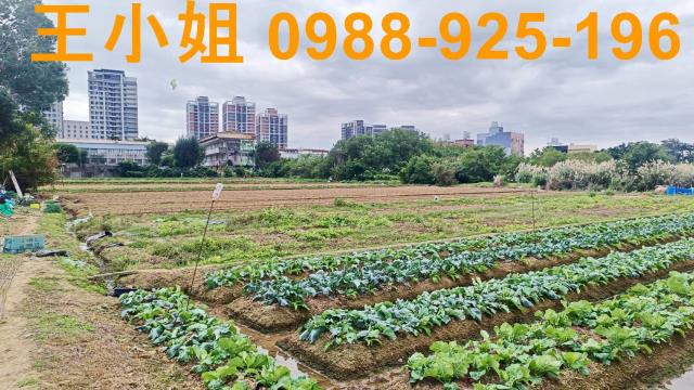 桃園農地-3