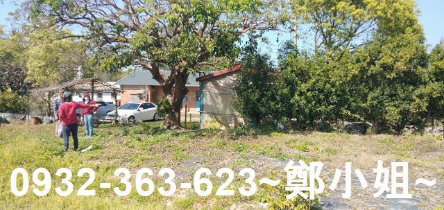 苗栗通霄農地-10