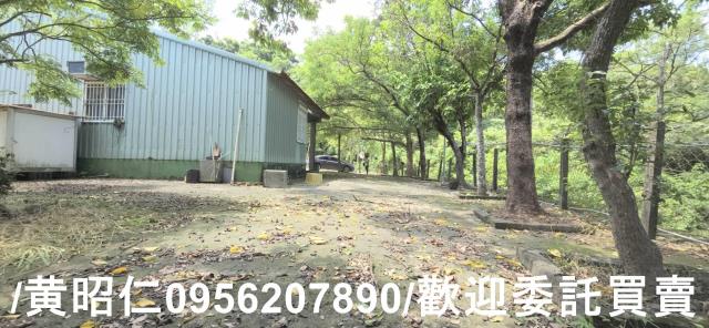 台南左鎮農地-5