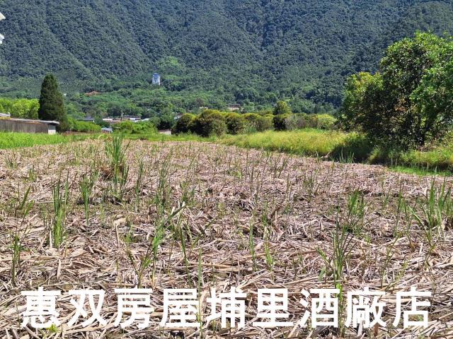 南投埔里農地-1