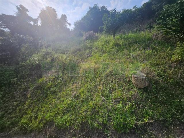 高雄大樹農地-3