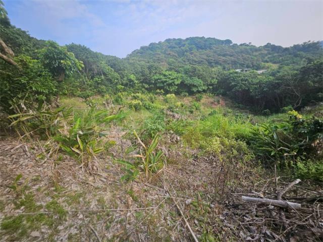 高雄大樹農地-6