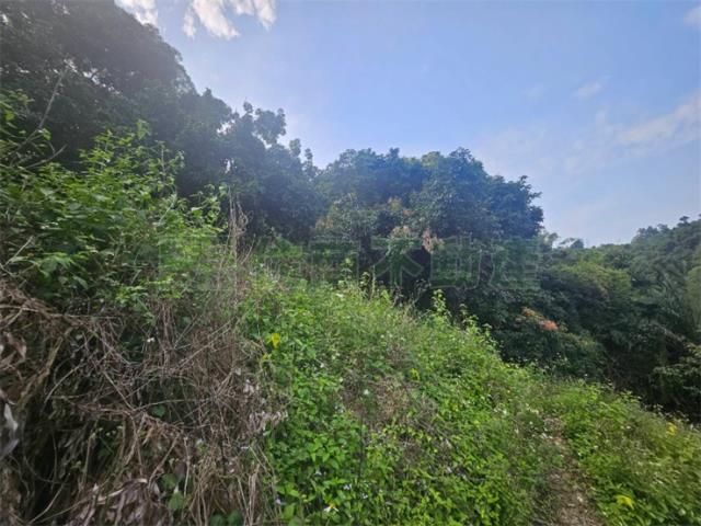 高雄大樹農地-9