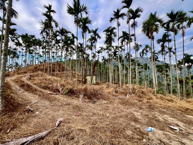 名間大埔巷343坪農地小農舍